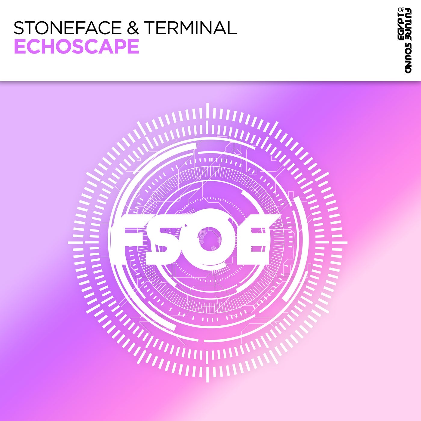 Cover - Stoneface & Terminal - Echoscape (Extended Mix)